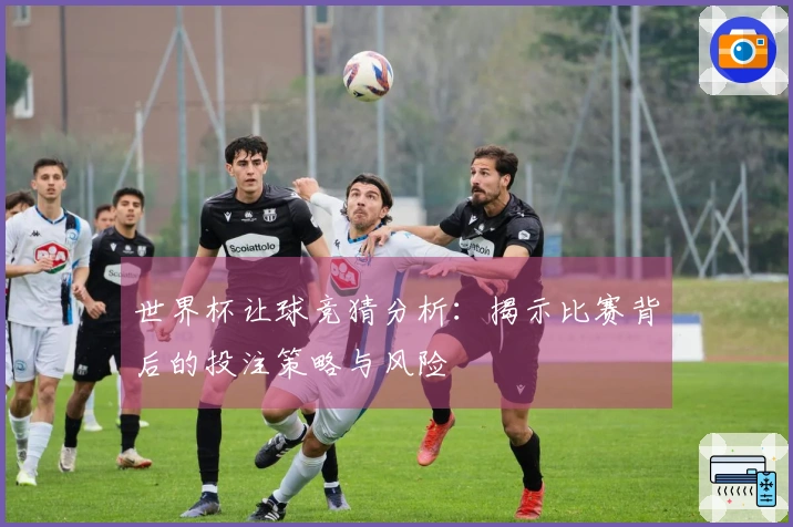 世界杯让球竞猜分析：揭示比赛背后的投注策略与风险