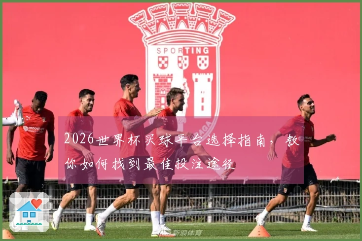 2026世界杯买球平台选择指南，教你如何找到最佳投注途径