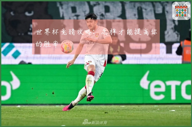 世界杯竞猜攻略：怎样才能提高你的胜率