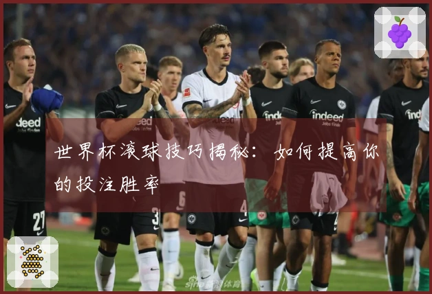 世界杯滚球技巧揭秘：如何提高你的投注胜率
