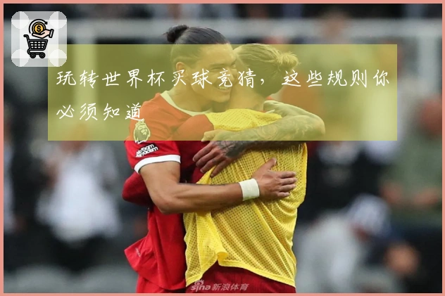 玩转世界杯买球竞猜，这些规则你必须知道