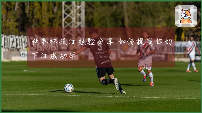 世界杯投注经验分享 如何提高你的下注成功率