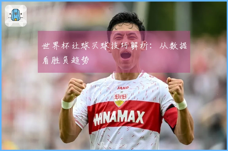 世界杯让球买球技巧解析：从数据看胜负趋势