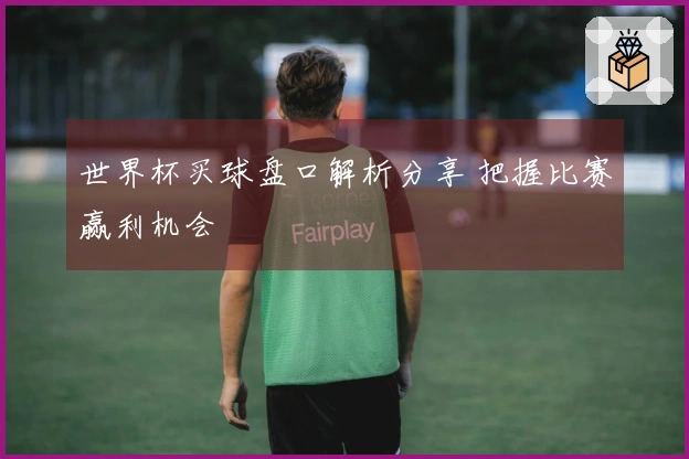 世界杯买球盘口解析分享 把握比赛赢利机会