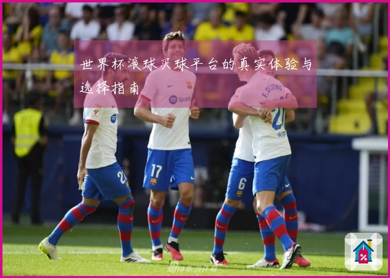 世界杯滚球买球平台的真实体验与选择指南