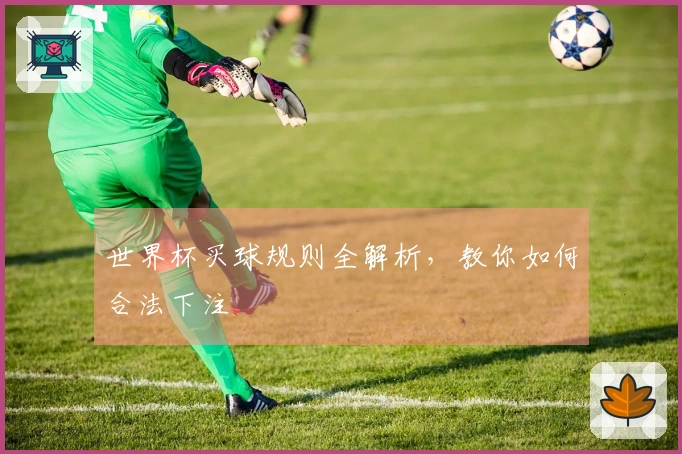 世界杯买球规则全解析，教你如何合法下注