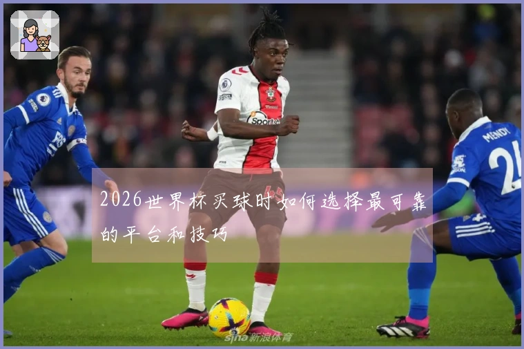 2026世界杯买球时如何选择最可靠的平台和技巧
