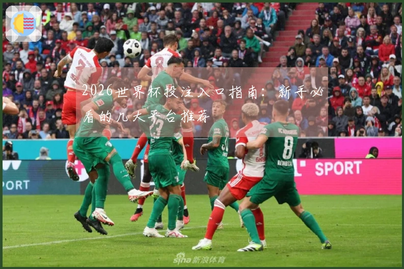2026世界杯投注入口指南：新手必看的几大平台推荐