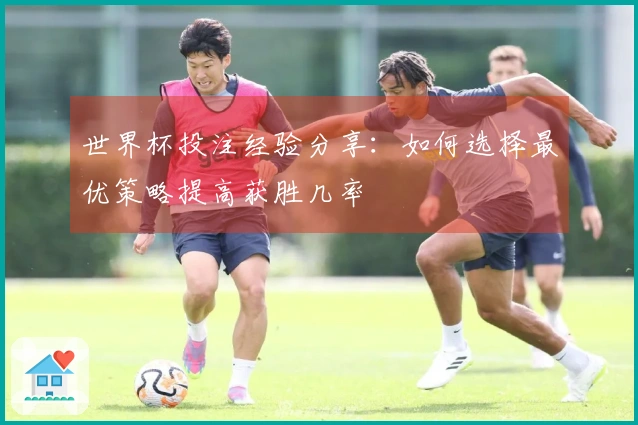 世界杯投注经验分享：如何选择最优策略提高获胜几率