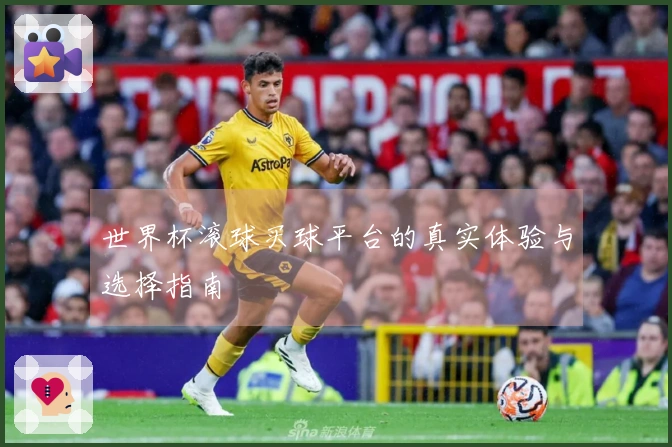 世界杯滚球买球平台的真实体验与选择指南